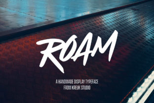 Download Roam - Premium Resources
